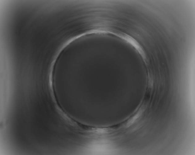 X0000088880958200706151809