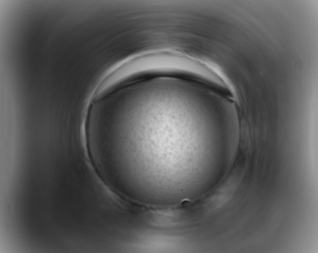 X0000088880959200706151809