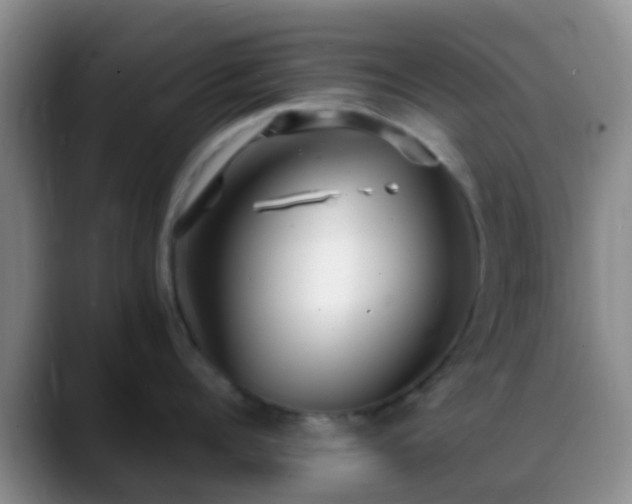 X0000088880960200706151809