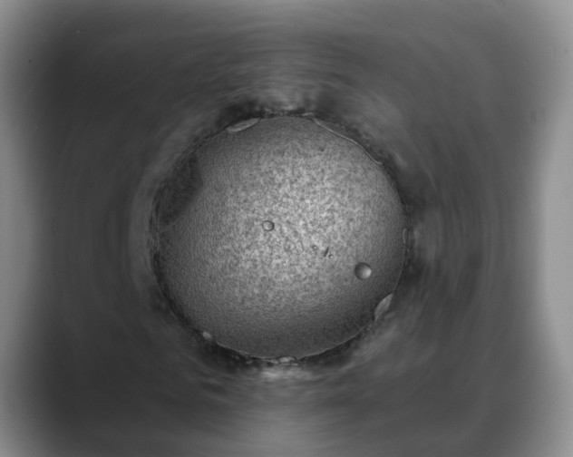 X0000088880961200706151808