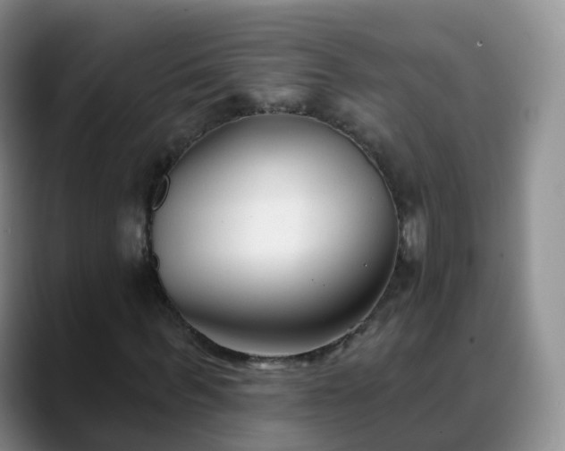 X0000088880963200706151808