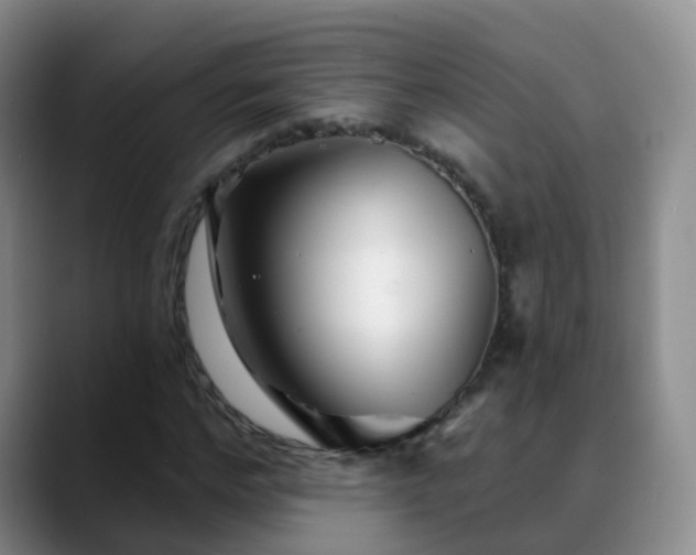 X0000088880968200706151808