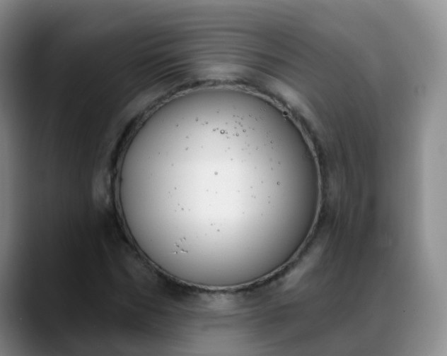 X0000088880970200706151808