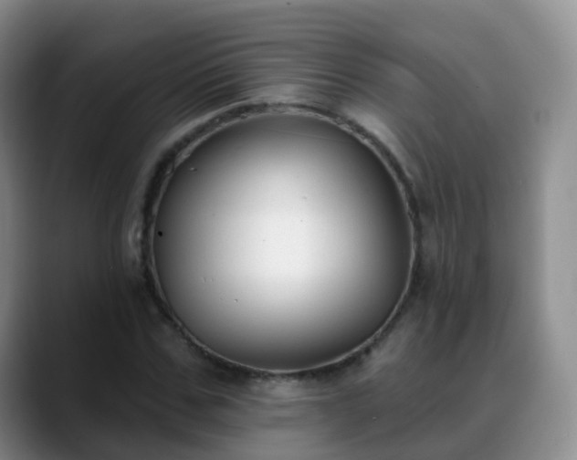 X0000088880971200706151808