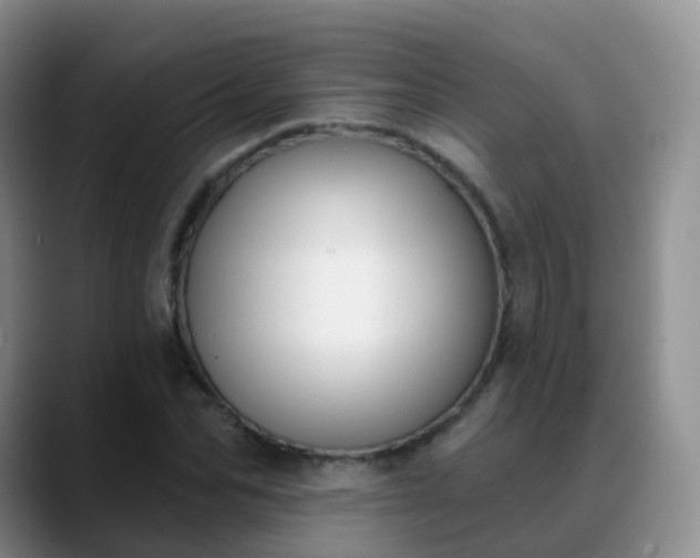 X0000088880974200706151808