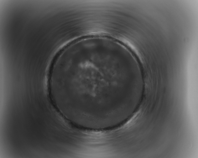 X0000088880975200706151808