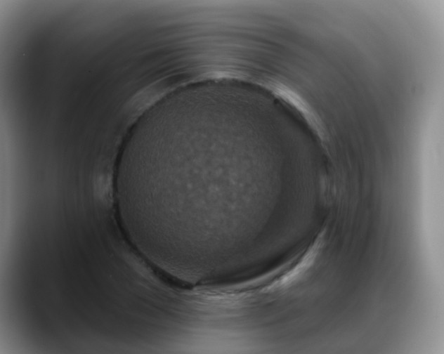 X0000088880977200706151808