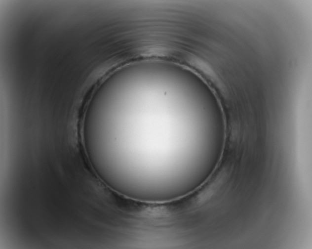 X0000088880978200706151808