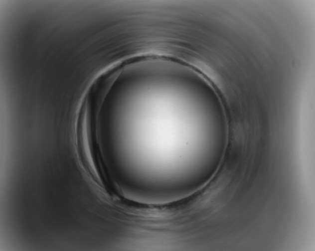 X0000088880980200706151808