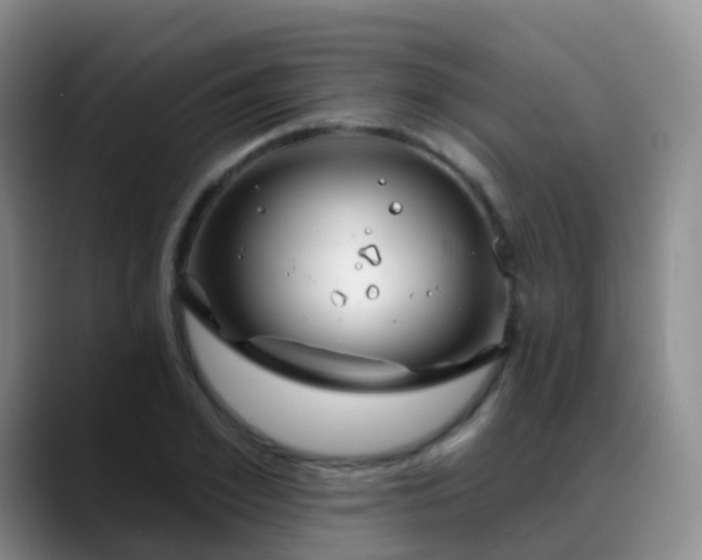 X0000088880981200706151808