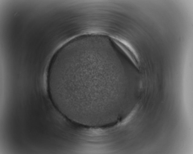 X0000088880983200706151808