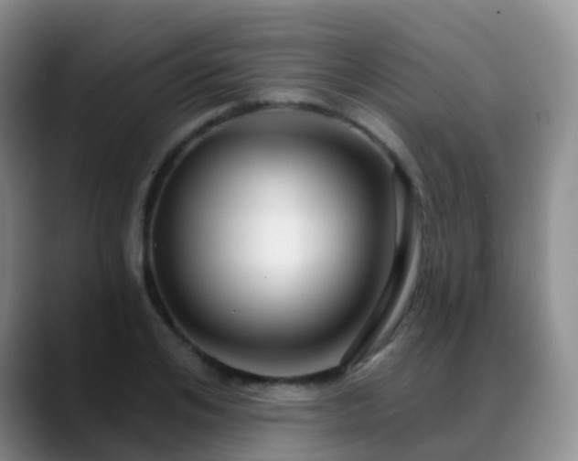 X0000088880984200706151808