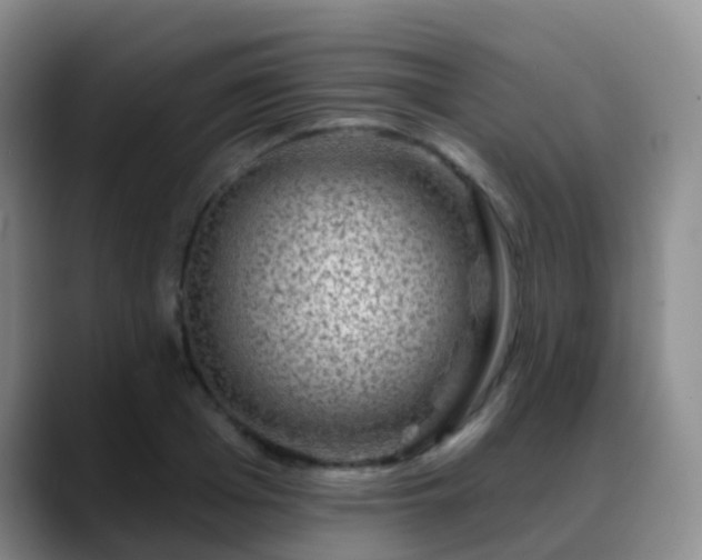 X0000088880985200706151808