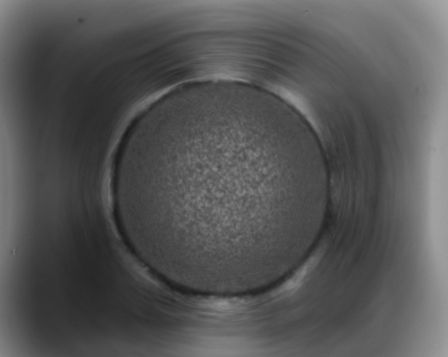 X0000088880987200706151808