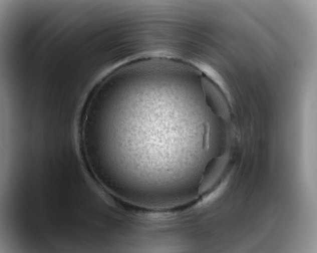 X0000088880989200706151808