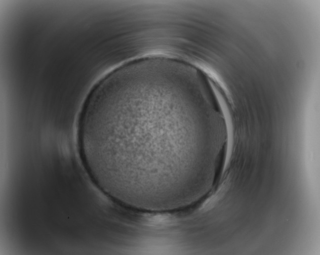 X0000088880991200706151808