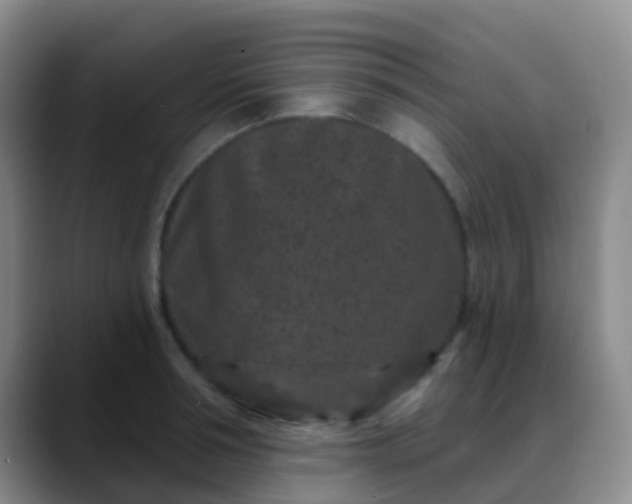 X0000088880994200706151808