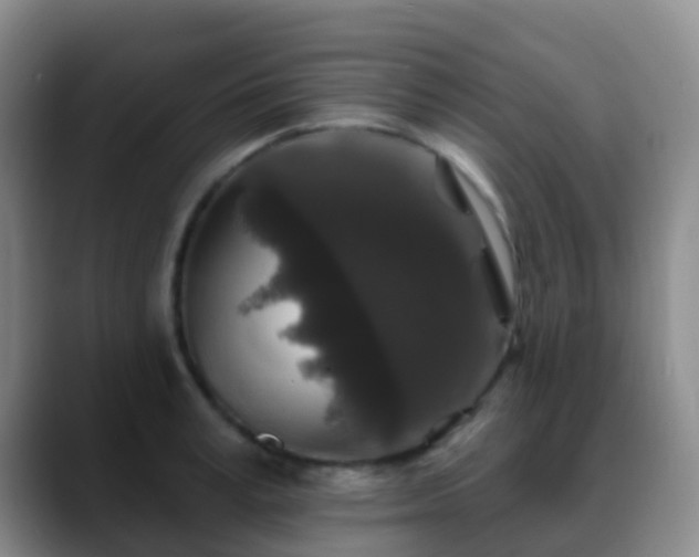 X0000088880995200706151808