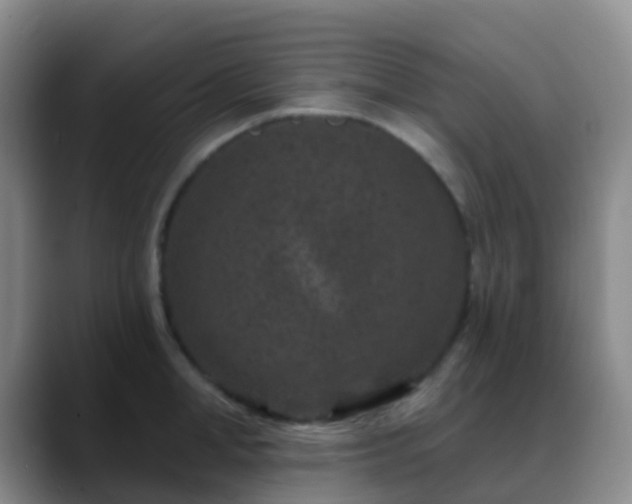 X0000088880998200706151808