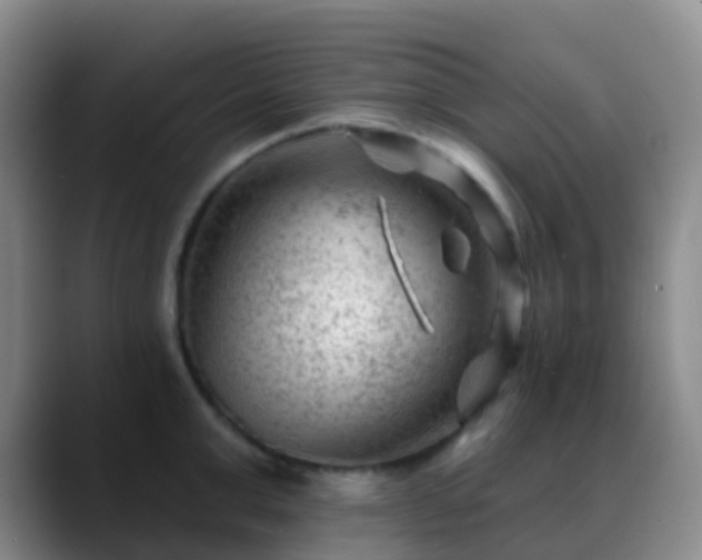 X0000088880999200706151808