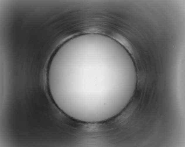 X0000088881000200706151808