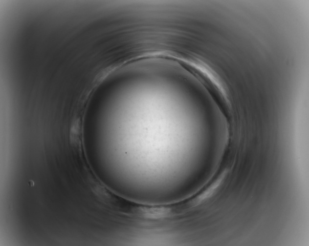 X0000088881001200706151808