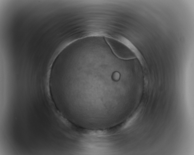 X0000088881002200706151808