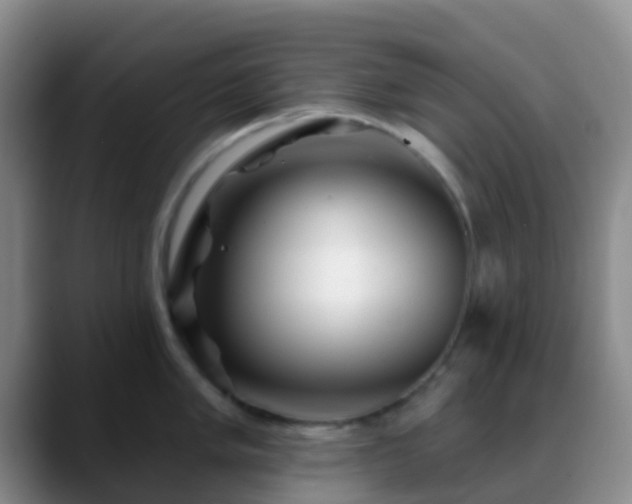 X0000088881005200706151808