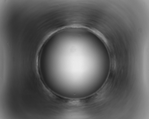 X0000088881006200706151808