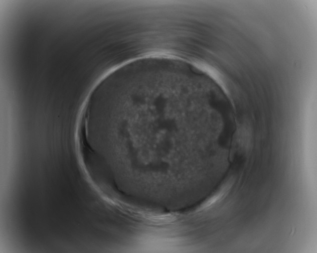 X0000088881007200706151808