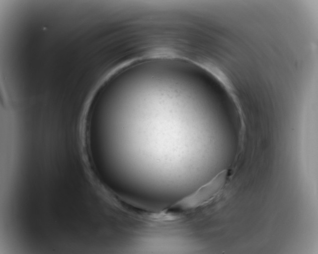 X0000088881008200706151808