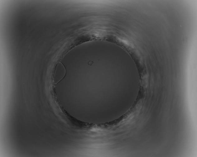 X0000088881009200706151807