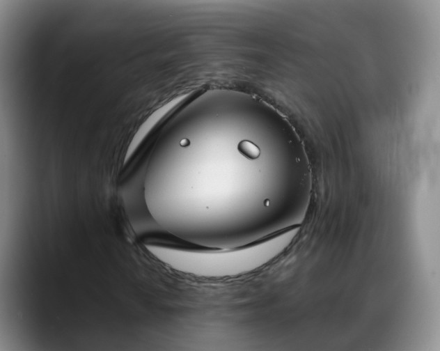 X0000088881010200706151807