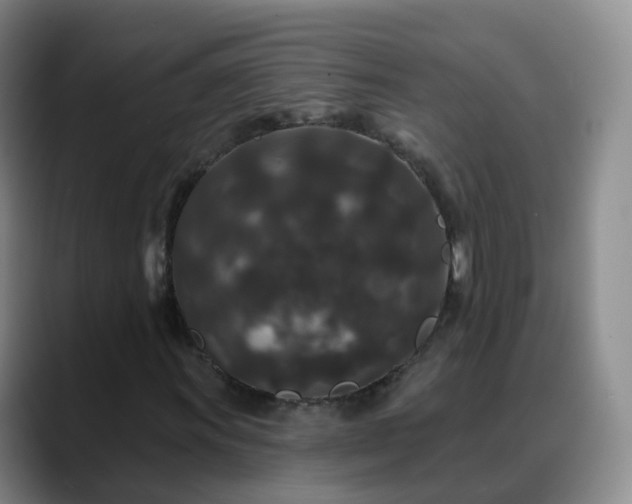 X0000088881011200706151807