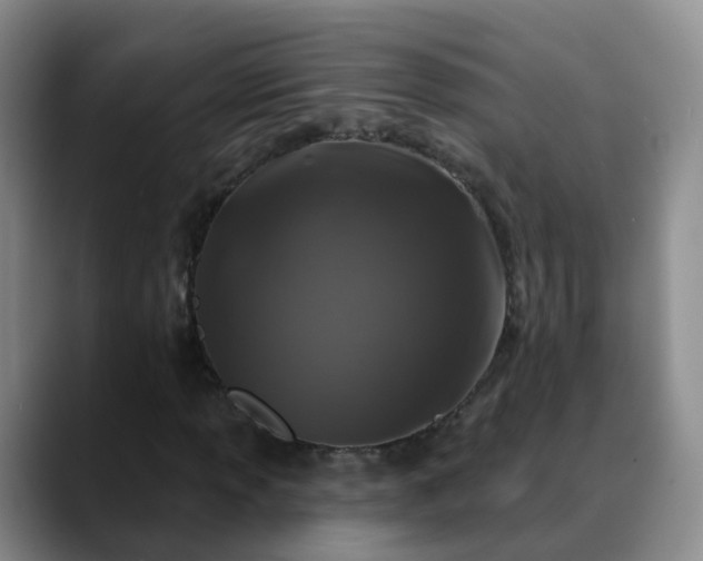 X0000088881013200706151807