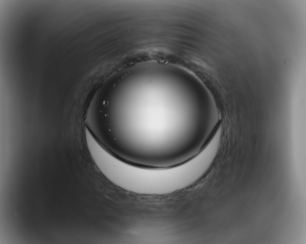 X0000088881014200706151807