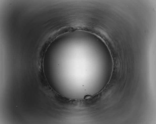 X0000088881016200706151807