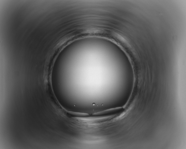 X0000088881017200706151807