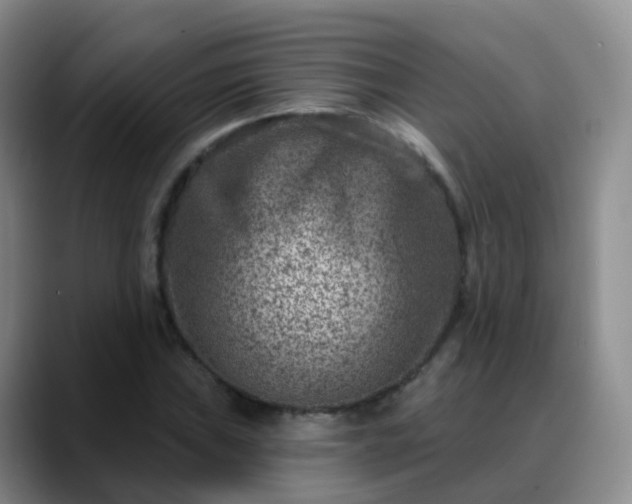 X0000088881019200706151807