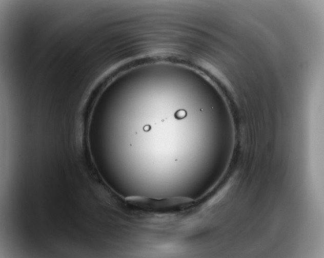 X0000088881021200706151807