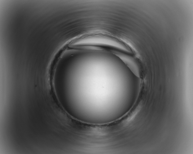 X0000088881022200706151807