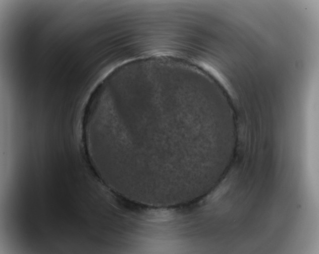 X0000088881023200706151807