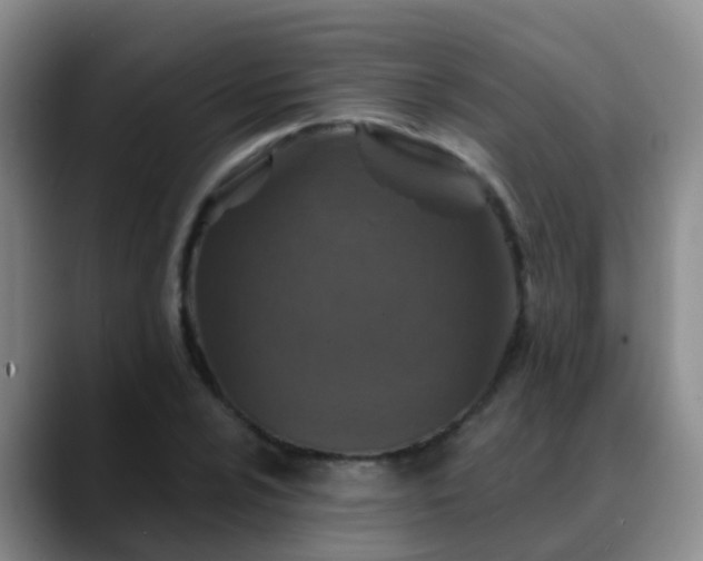 X0000088881024200706151807