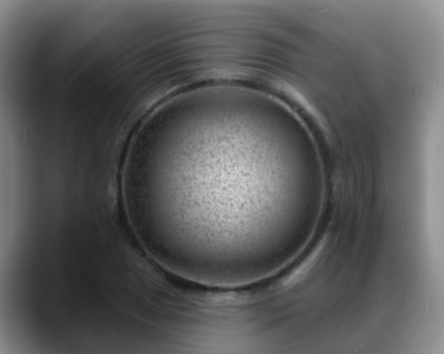 X0000088881025200706151807