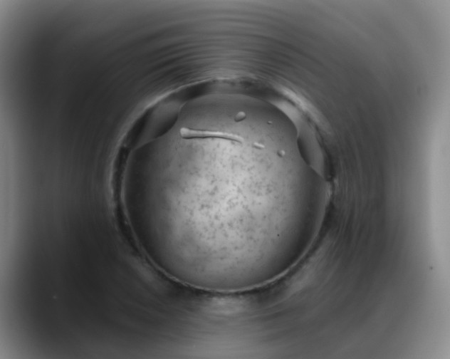 X0000088881026200706151807