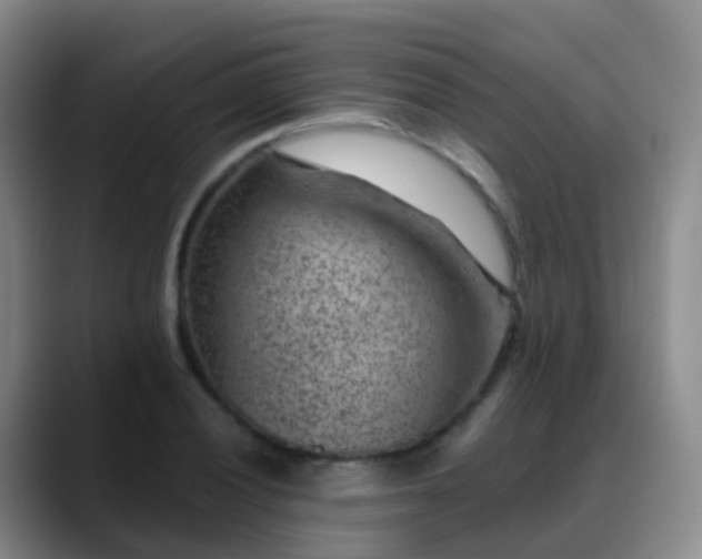 X0000088881028200706151807