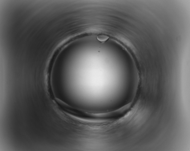 X0000088881029200706151807