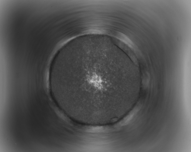 X0000088881030200706151807