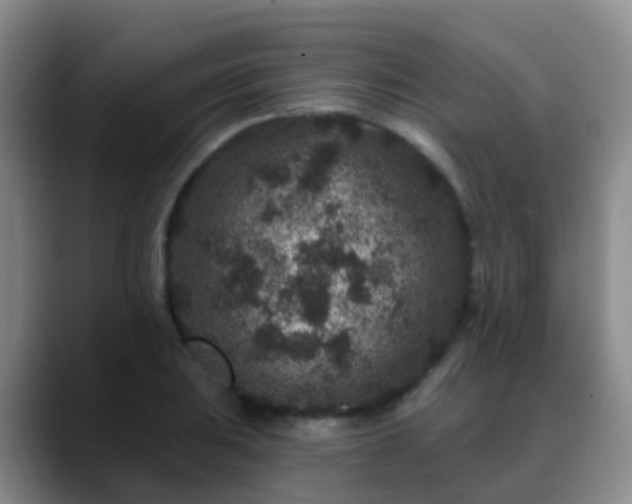 X0000088881031200706151808