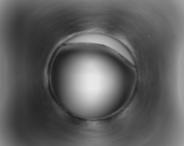 X0000088881032200706151808